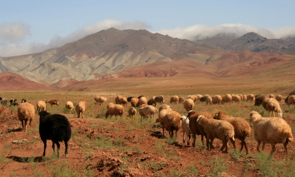 landscape in northern iran.JPG